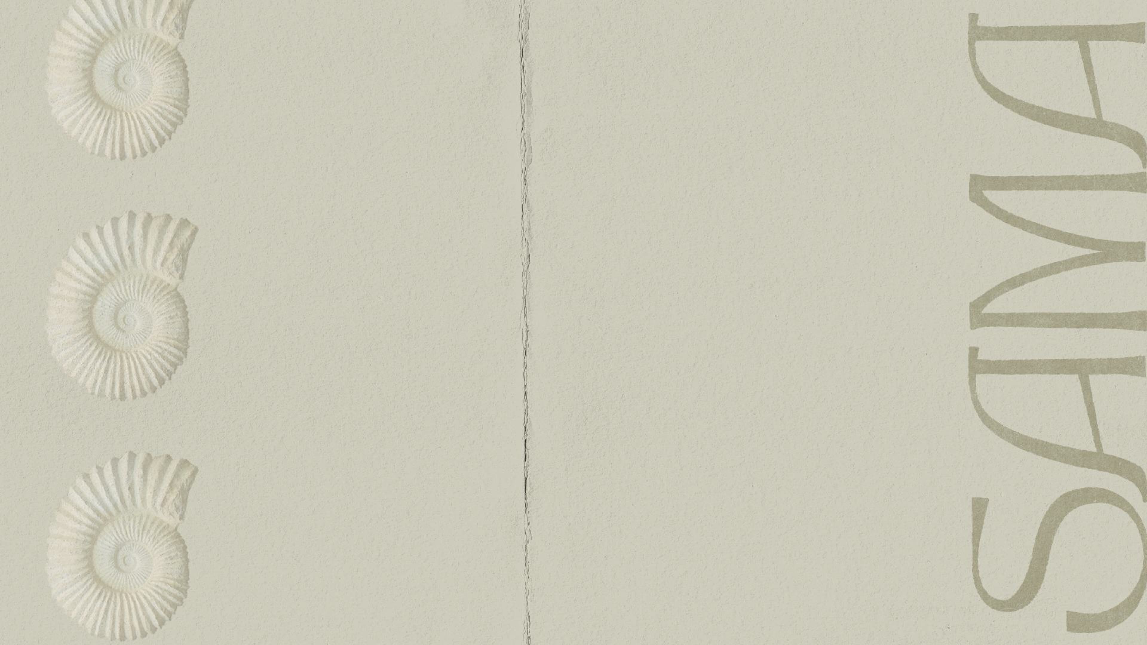 SAMA — curated artisan objects